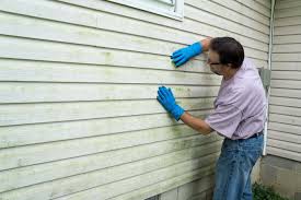 Affordable Siding Repair and Maintenance Services in Kotlik, AK